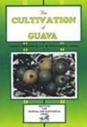 Cultivation of Guava Book cover